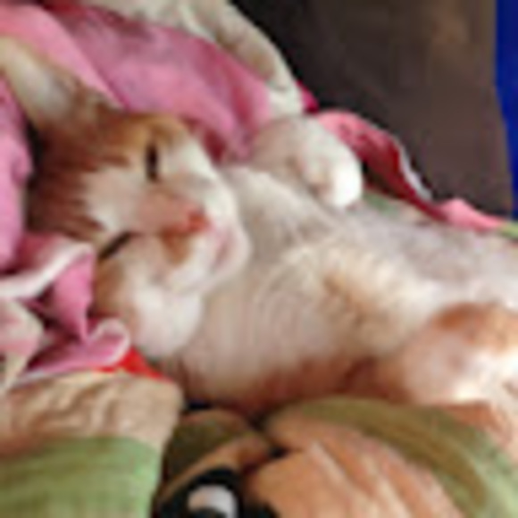 Meet your Posher, Natascha - Picture 1 of 1